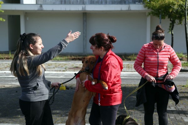 Cátia Martins e Isabel Rodrigues são duas das voluntárias que acompanham os cães do CRO